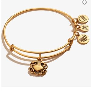 Alex and Ani Crab Charm Bracelet